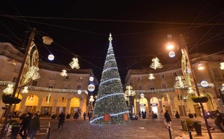 Caserta tra sinfonie e luci: il Natale della Camera di Commercio
