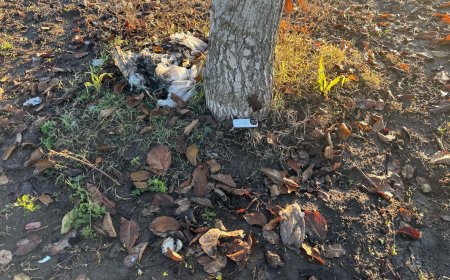 Maddaloni, nuovo disastro ambientale denunciato dal WWF