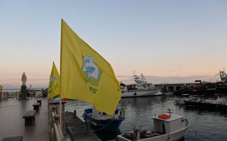 Pesca, Coldiretti: “Tagli UE affondano la flotta italiana”