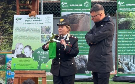 Napoli: educazione ambientale con "un albero per il futuro"