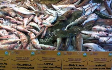 Capodanno in Campania: 131 euro a famiglia per il cenone