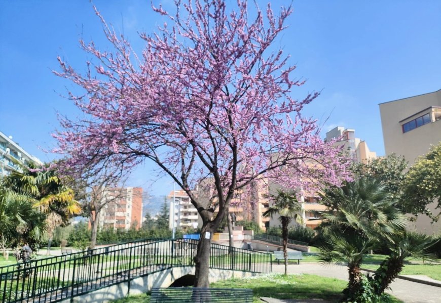 Natale in Villetta, al Parco Aranci