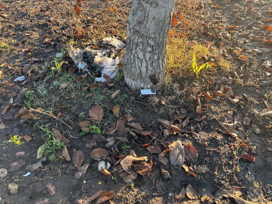 Maddaloni, nuovo disastro ambientale denunciato dal WWF