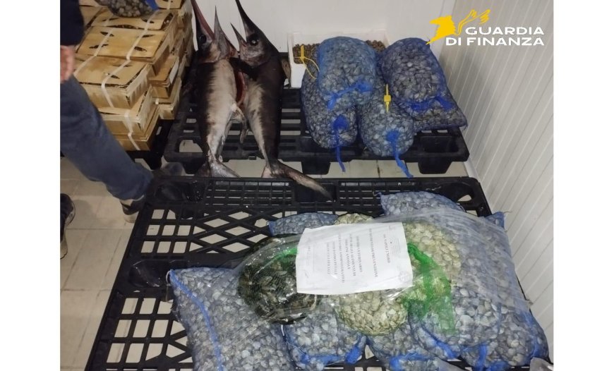 Sequestrati 900 kg di pesce non tracciato a Mugnano