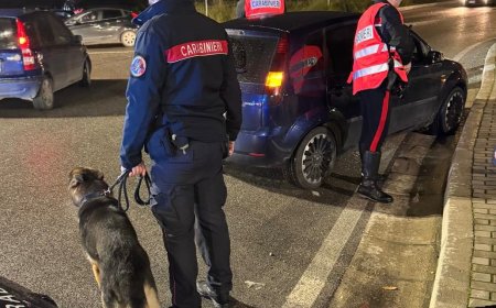 Marcianise: controlli dei carabinieri, arresti e sequestri