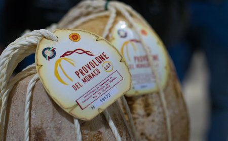 Consorzio Tutela del Provolone del Monaco DOP lancia Concorso