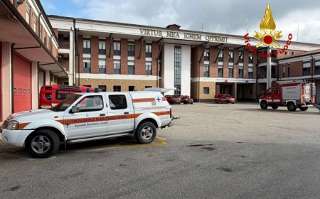 VVF Caserta: seminario su tecniche di intervento recupero animali