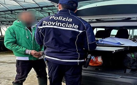 Bufale morte in pasto agli animali nel Casertano