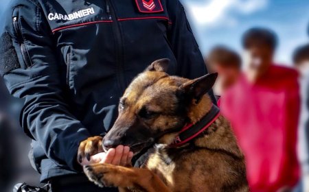 Maddaloni: pusher arrestato grazie al cane antidroga