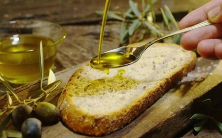 Olio, boom dell’oleoturismo: cresce la Campania