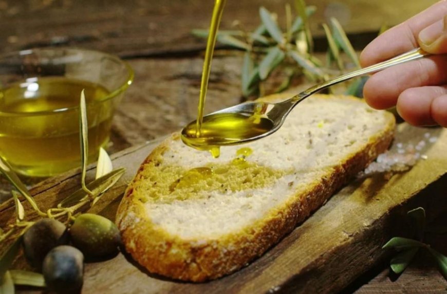 Olio, boom dell’oleoturismo: cresce la Campania