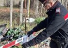 Rifiuti edili abbandonati: sequestro a Frignano
